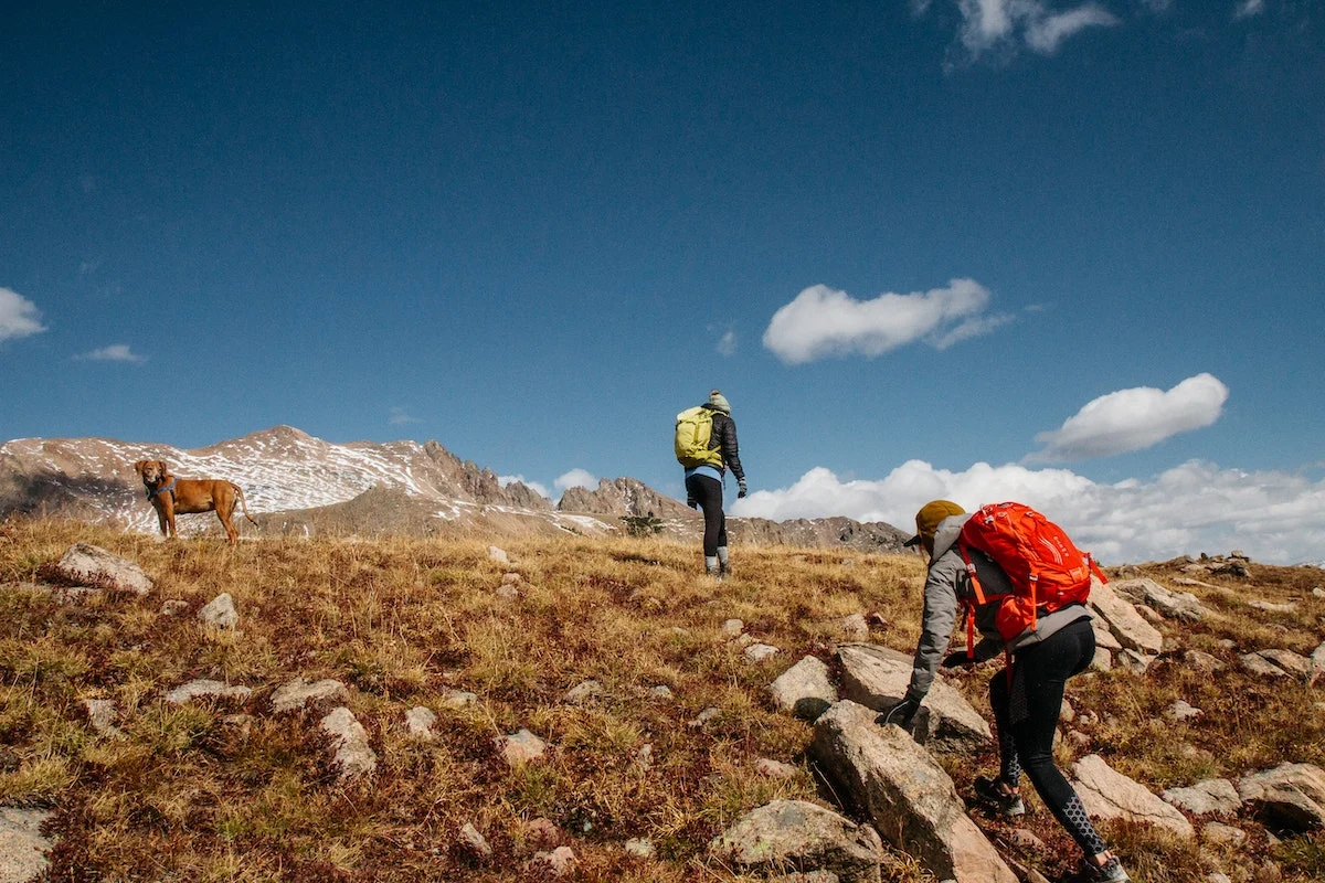 The Absolute Beginner’s Guide to Hiking