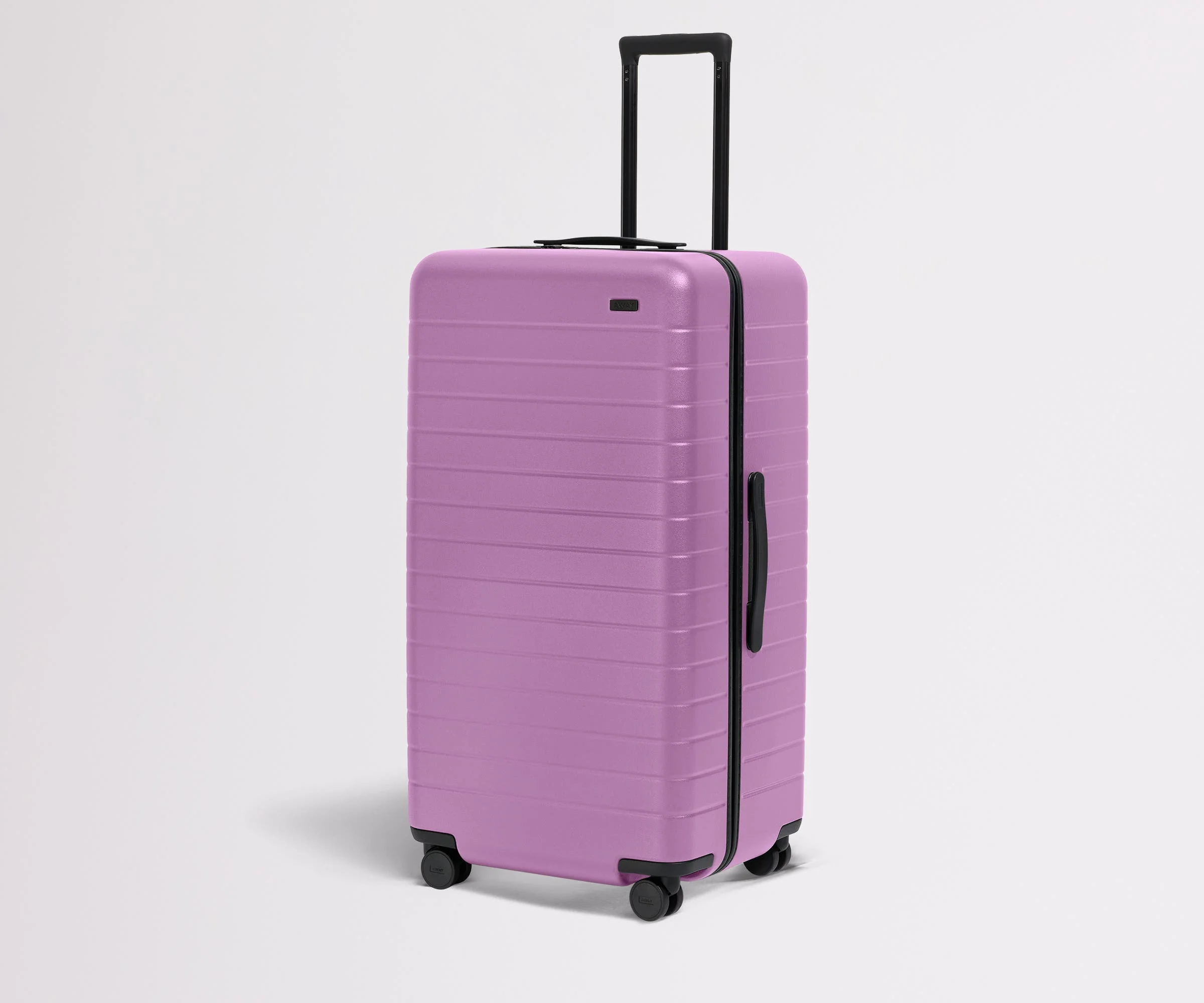 The Trunk | Taffy Purple
