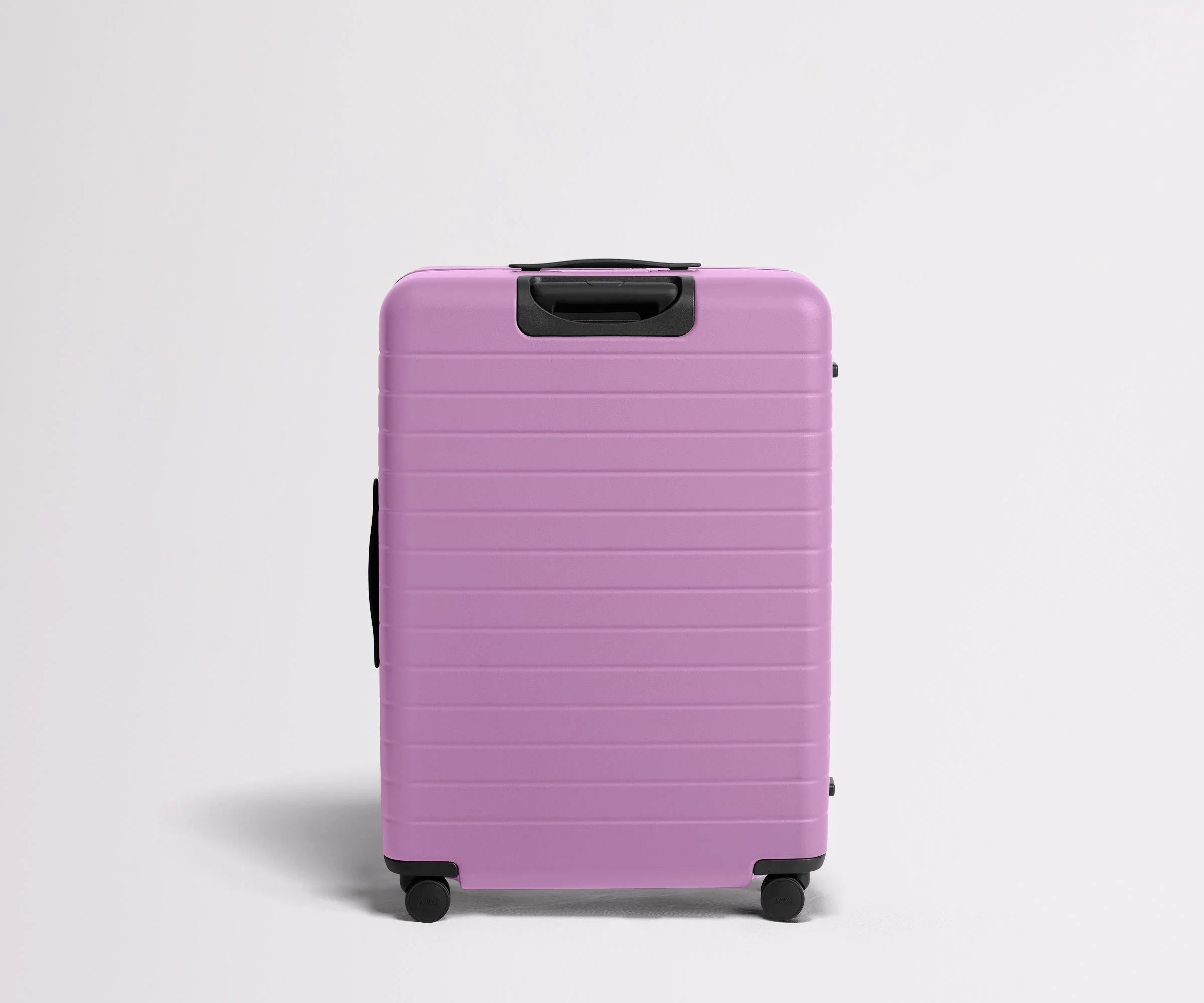 The Large | Taffy Purple