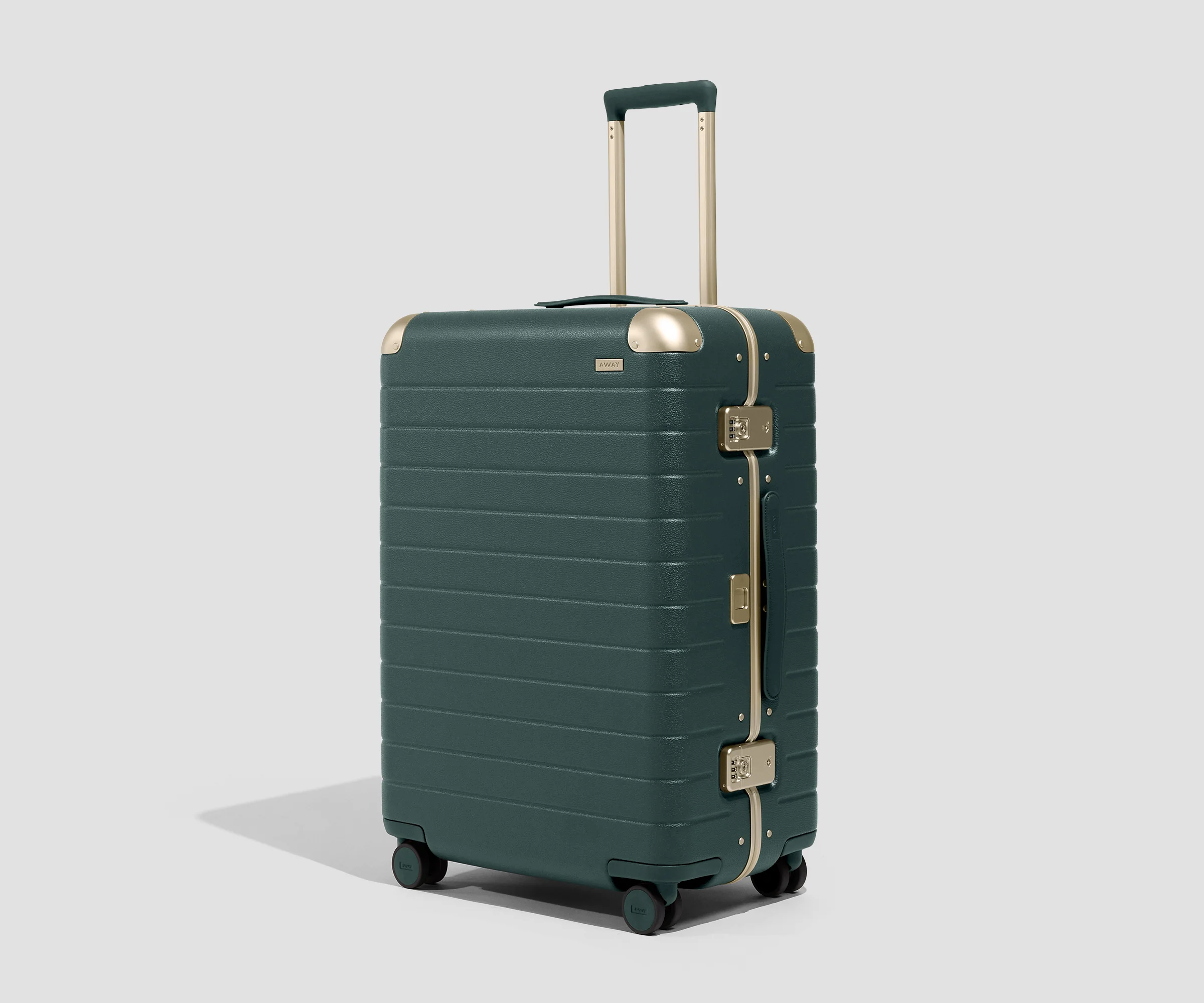 The Aluminum Edge Medium in Ivy Green