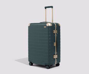 The Aluminum Edge Medium in Ivy Green