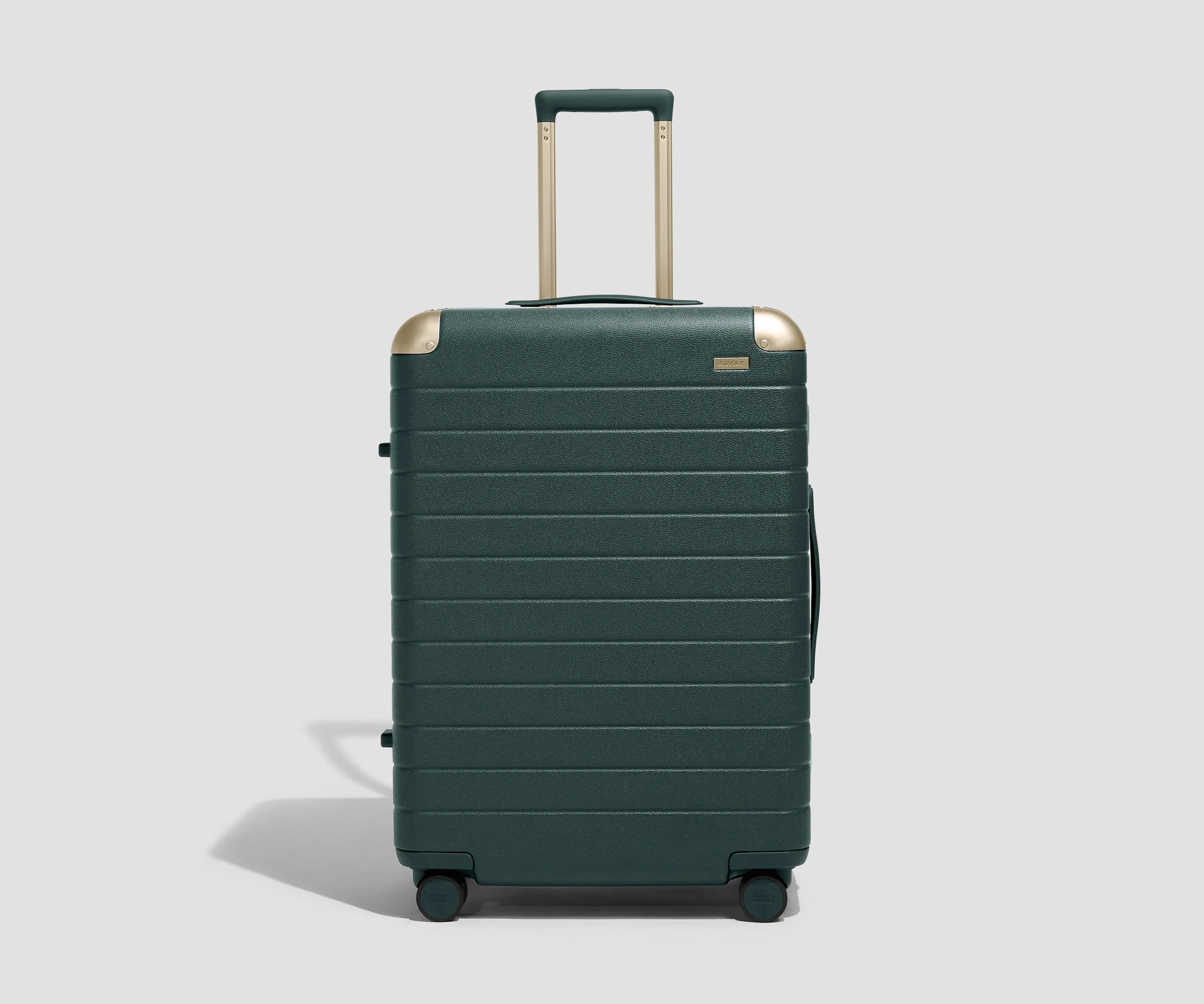 The Aluminum Edge Medium in Ivy Green
