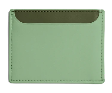Card Case in Sea Green