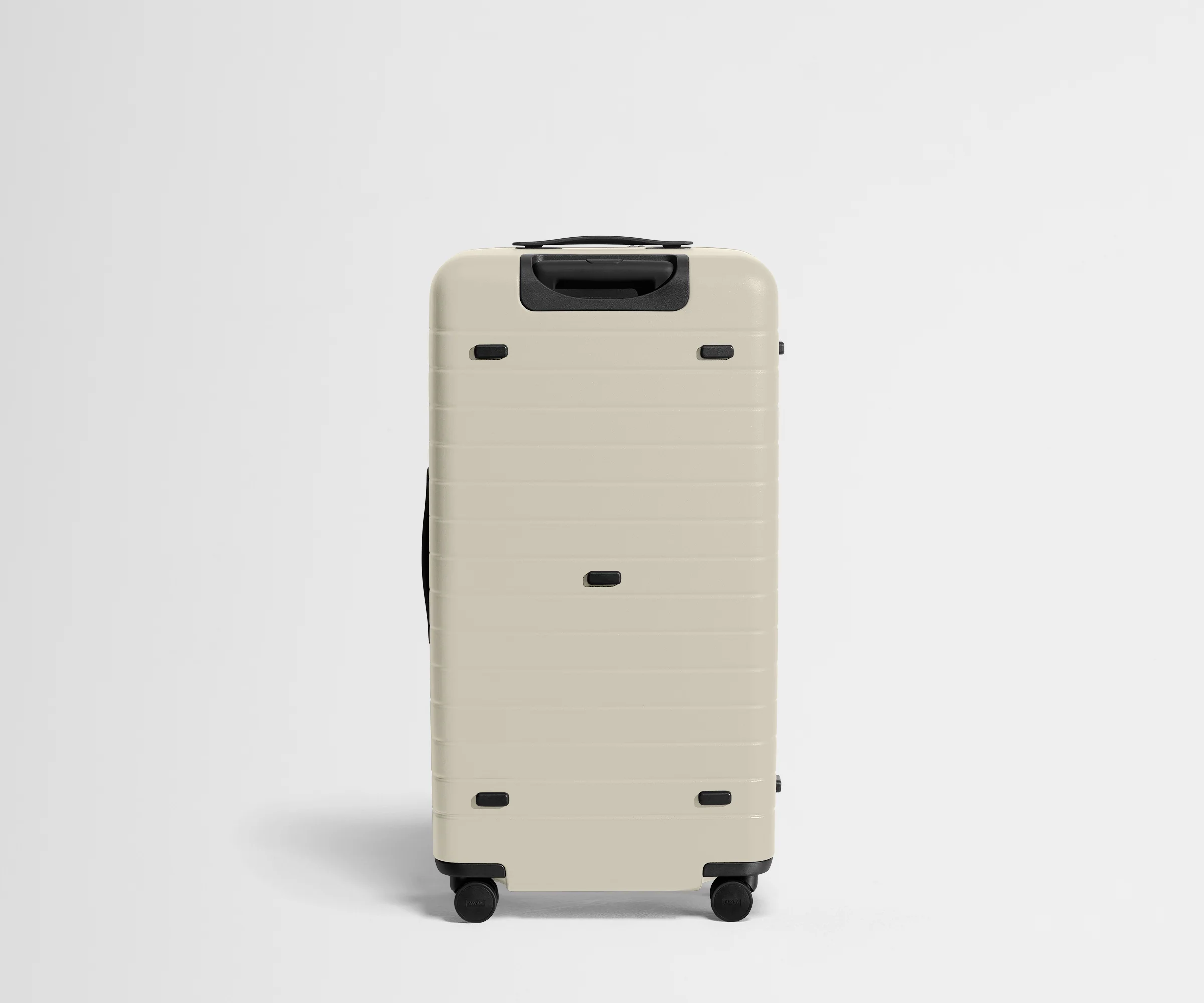 The Trunk in Salt White