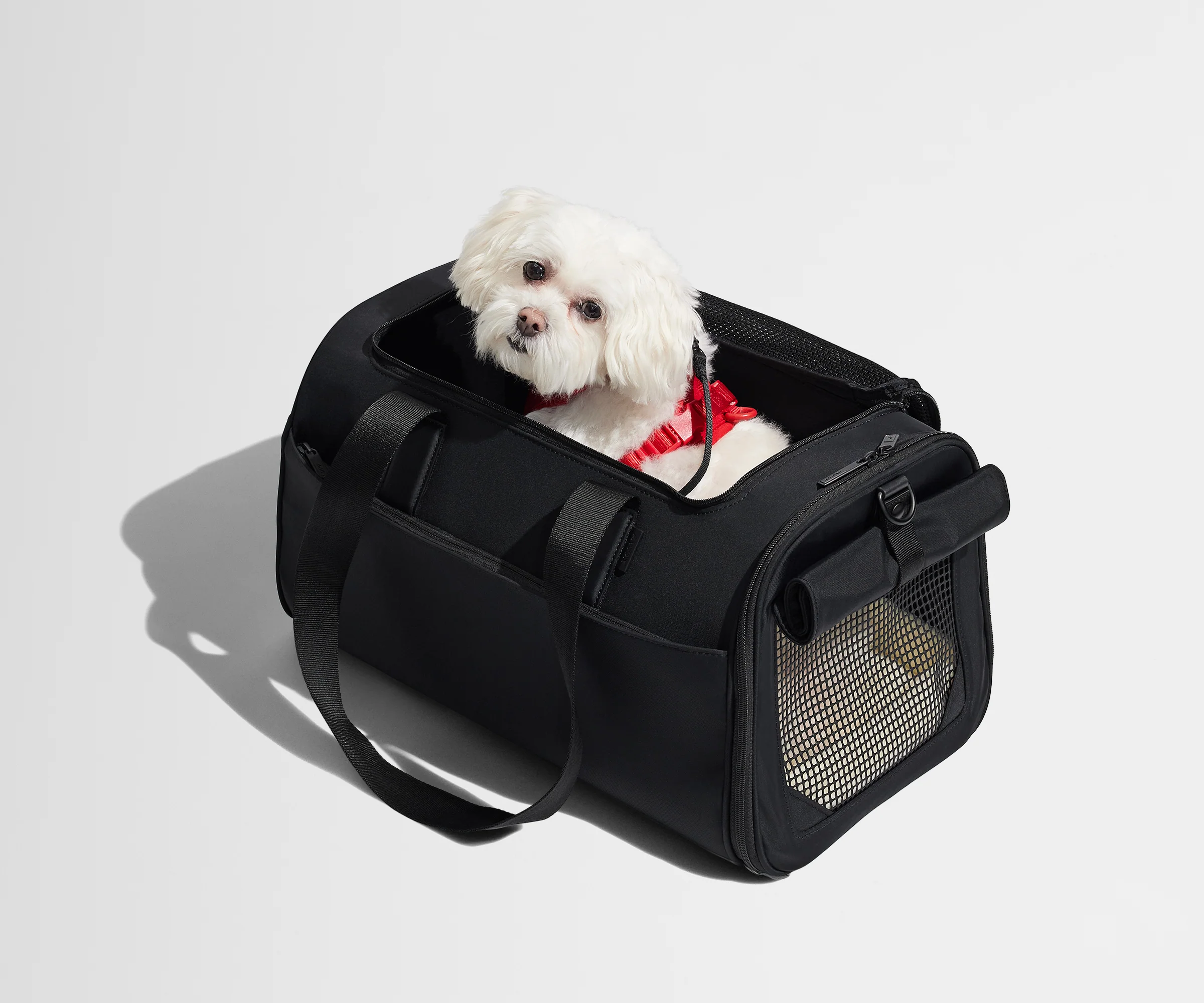 The Pet Carrier in Jet Black