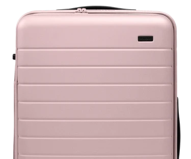 Topside Medium Trunk in Blush Pink