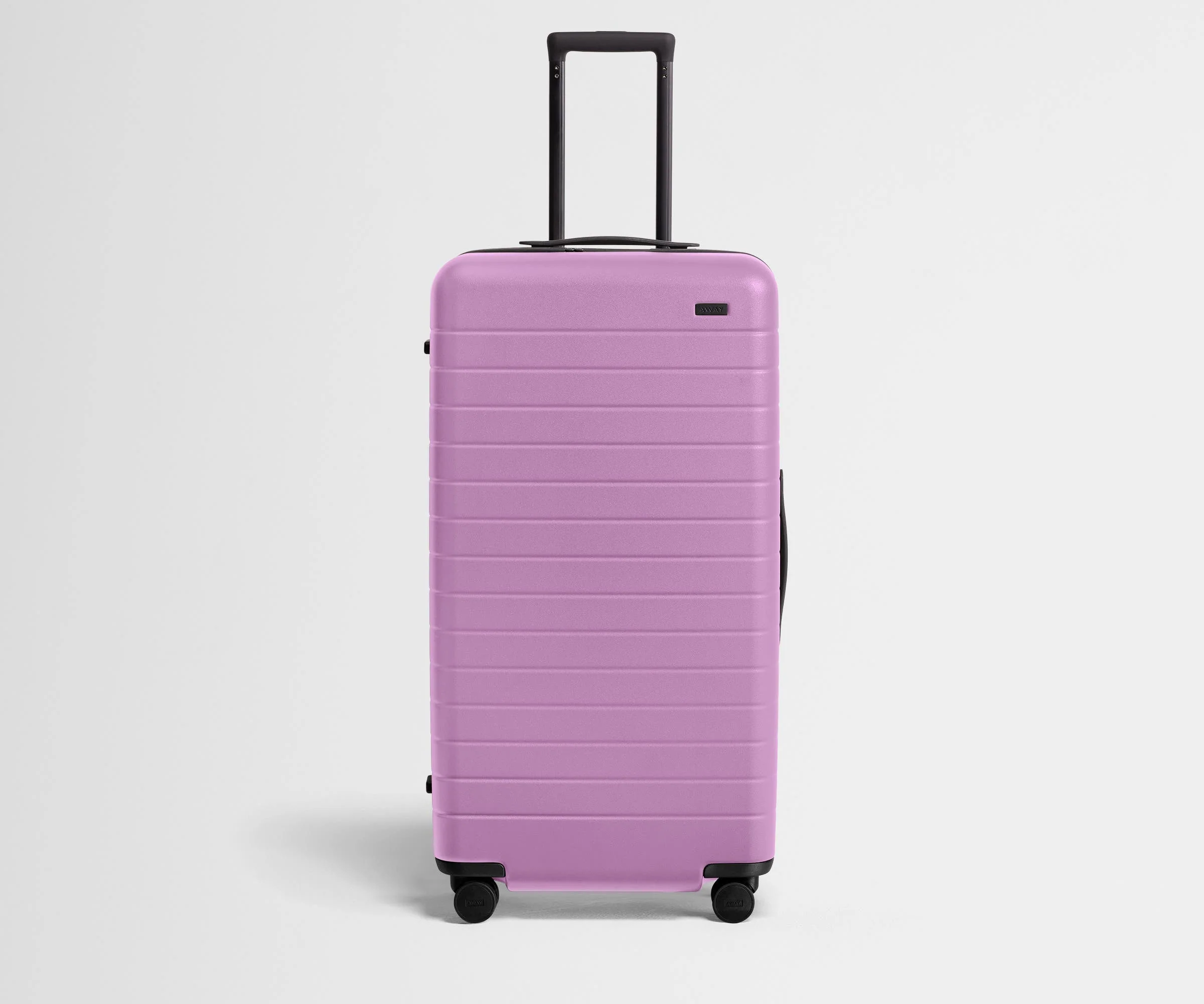The Trunk | Taffy Purple