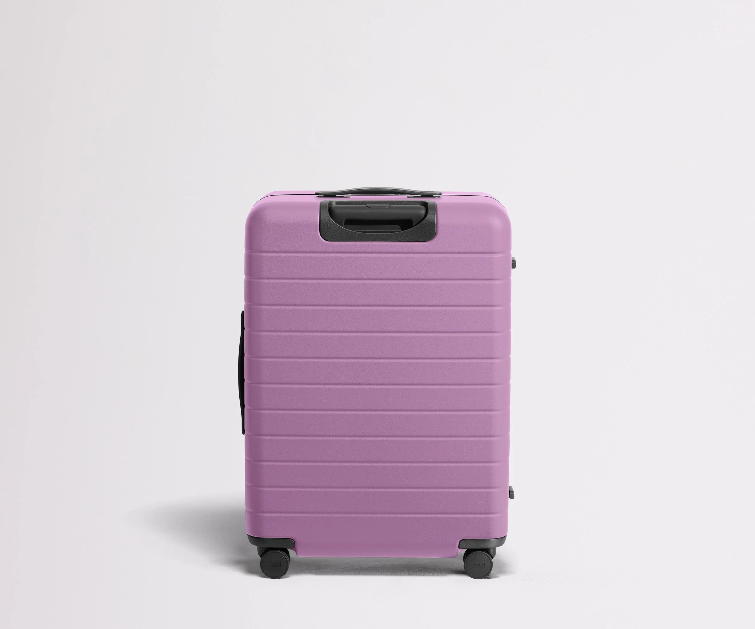 The Medium | Taffy Purple